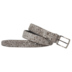 Grijs