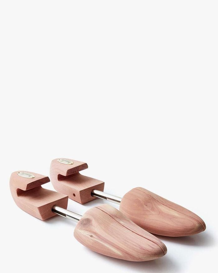 Van Bommel shoe tree