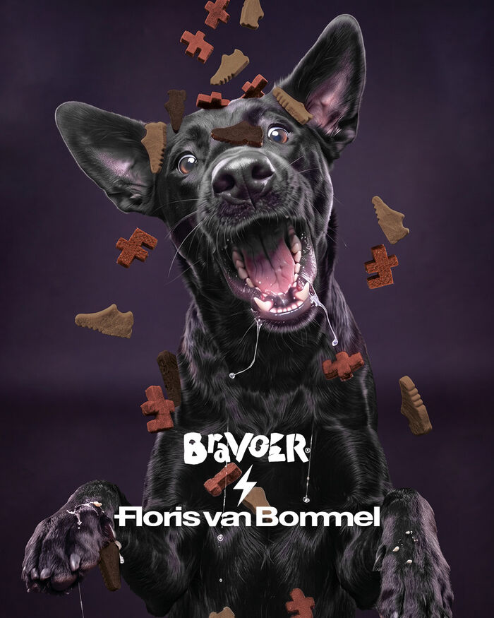 Box of Bravoer dog treats X FvB