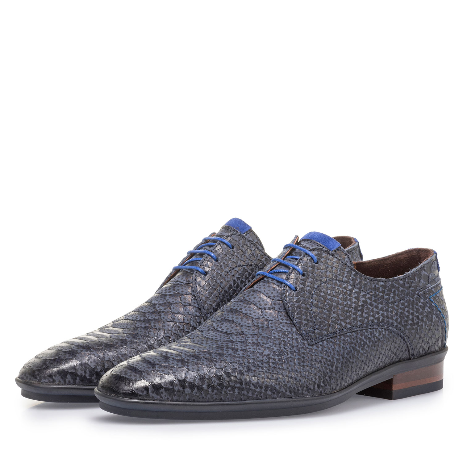 18441/19 - Dark blue nubuck leather lace shoe with snake print 18441/19 - Dark blue nubuck leather lace shoe with snake print