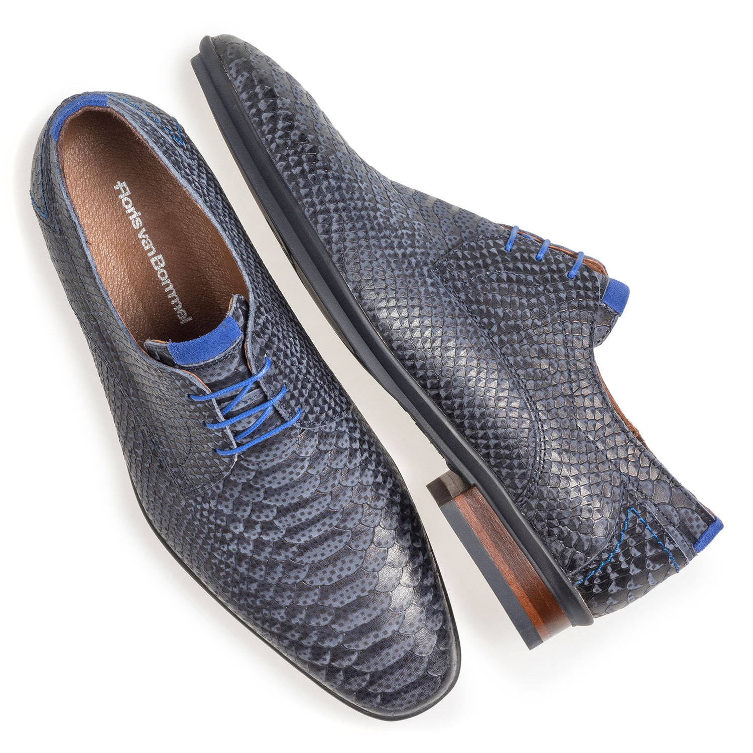 18441/19 - Dark blue nubuck leather lace shoe with snake print 18441/19 - Dark blue nubuck leather lace shoe with snake print