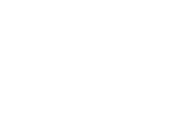 Van Bommel logo